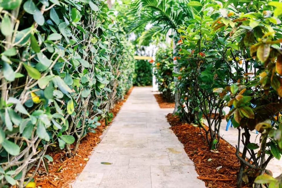 Walkways on the property.