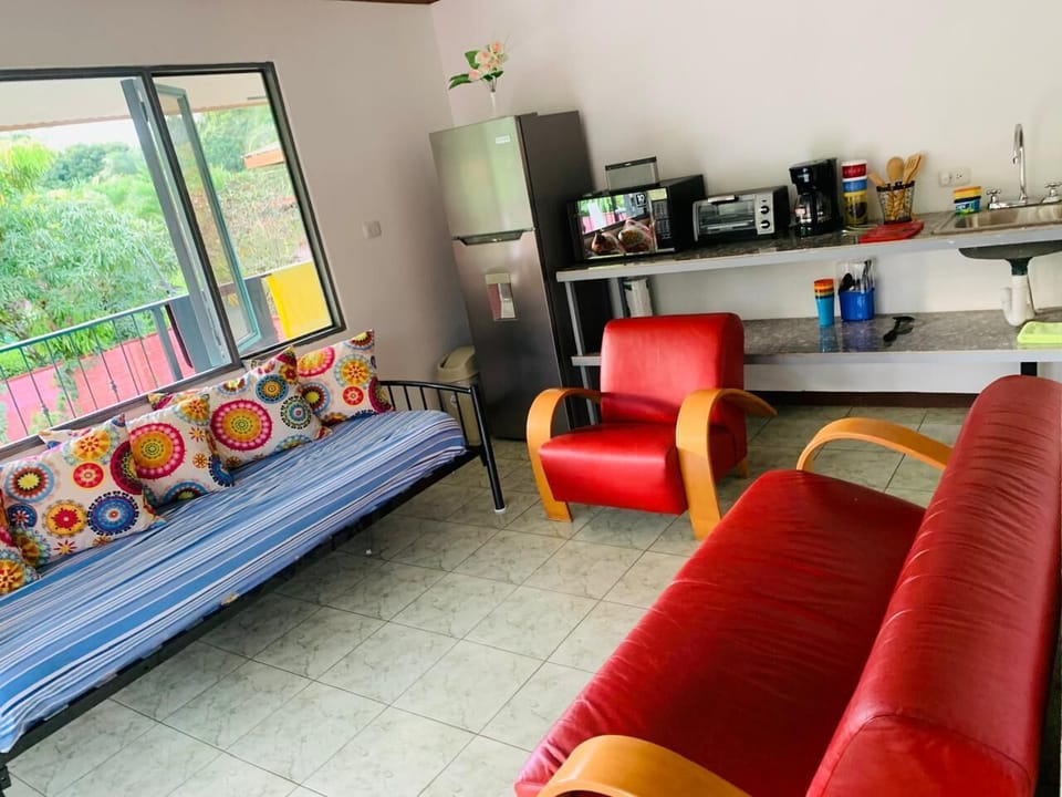 The living room kitchen area. Pillowed sofa is a daybed for sleeping too.