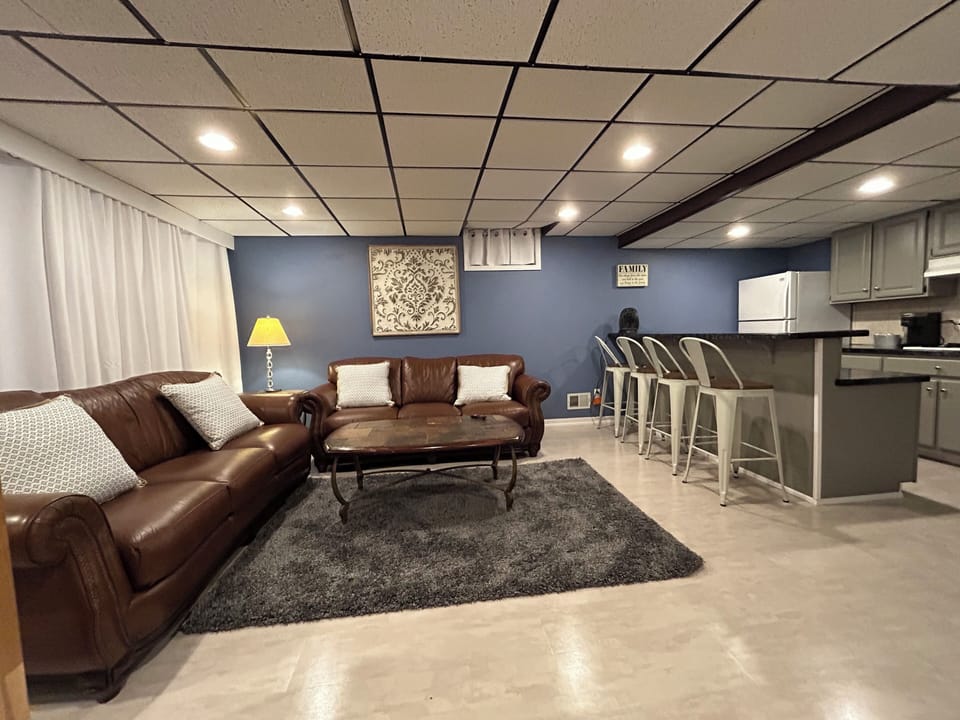 Lower Level Family Room