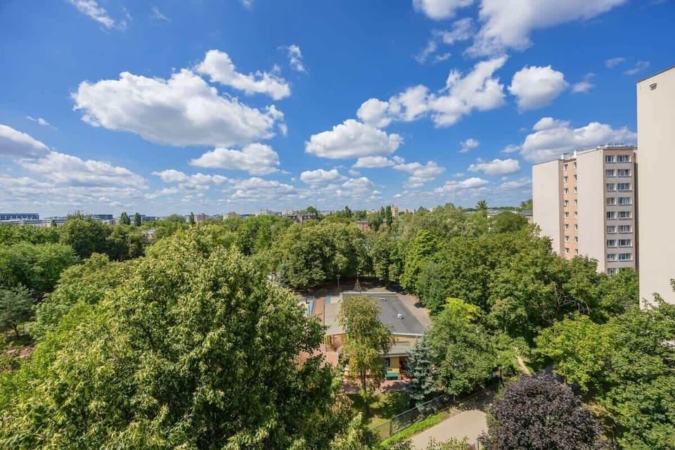 A high-angle view of the neighborhood showing trees, buildings, and a bright blue sky. Calm residential area with lots of nature.