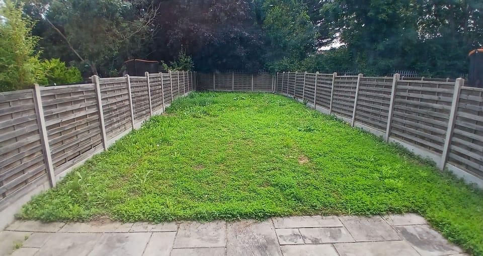Back Garden