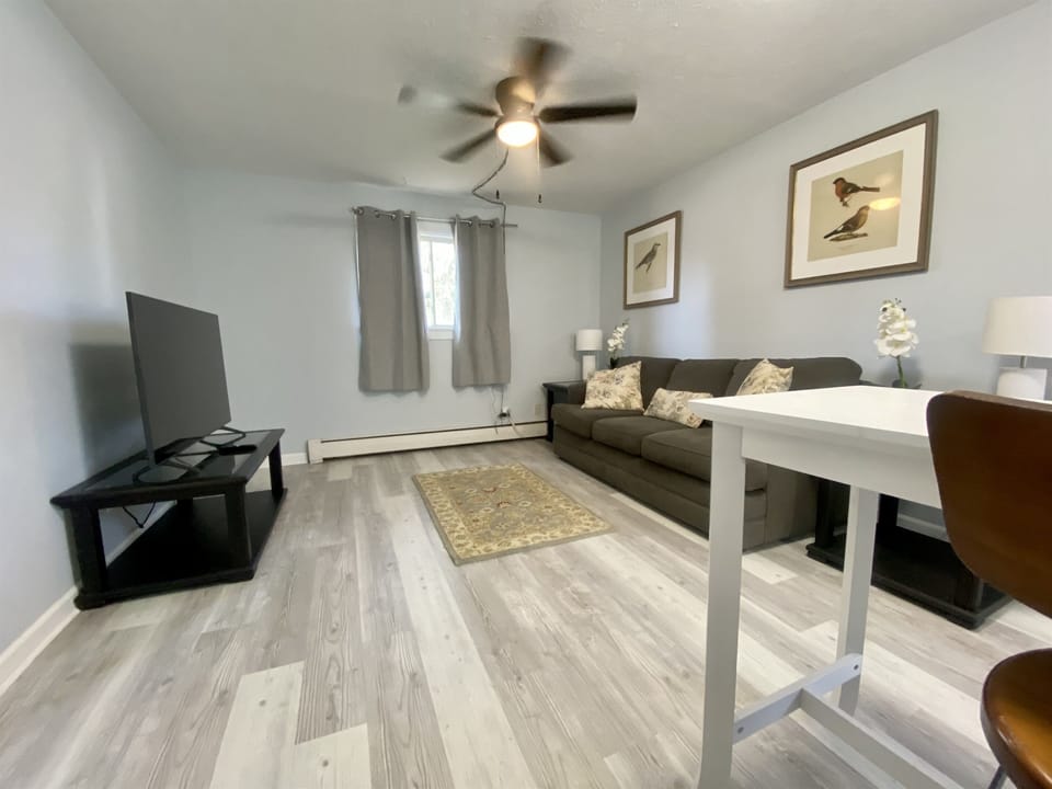 Living room with smart tv