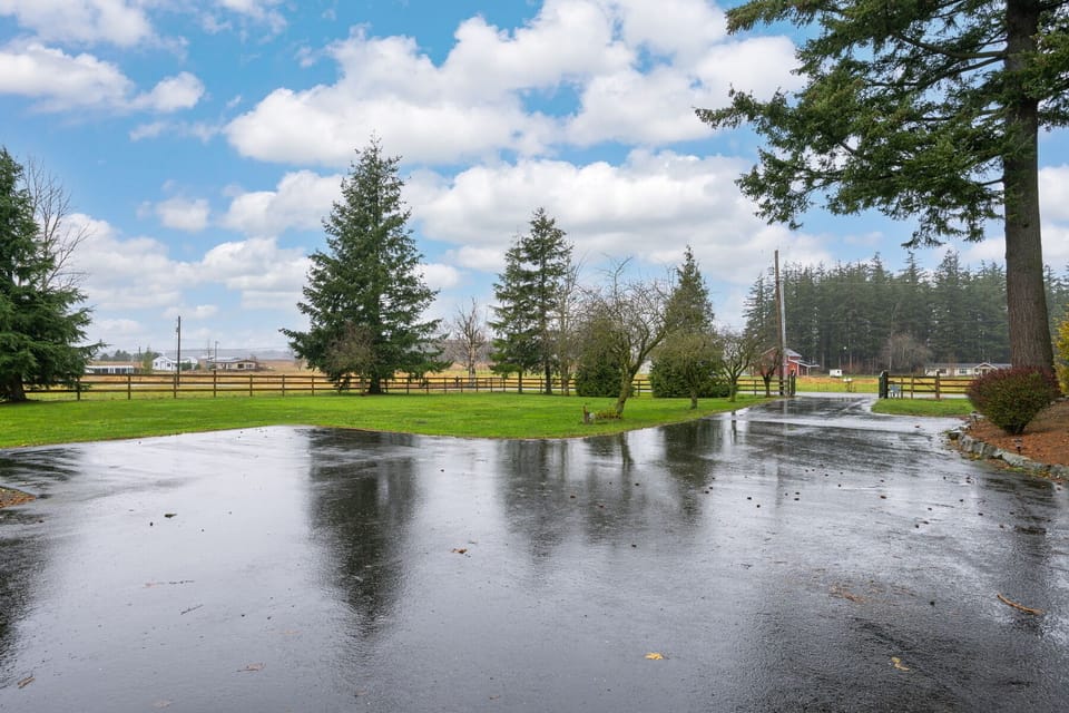 Parking and driveway 