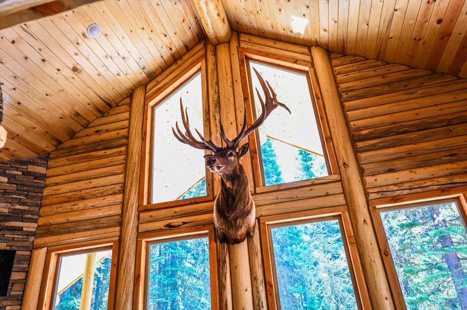 Bull Elk Mount