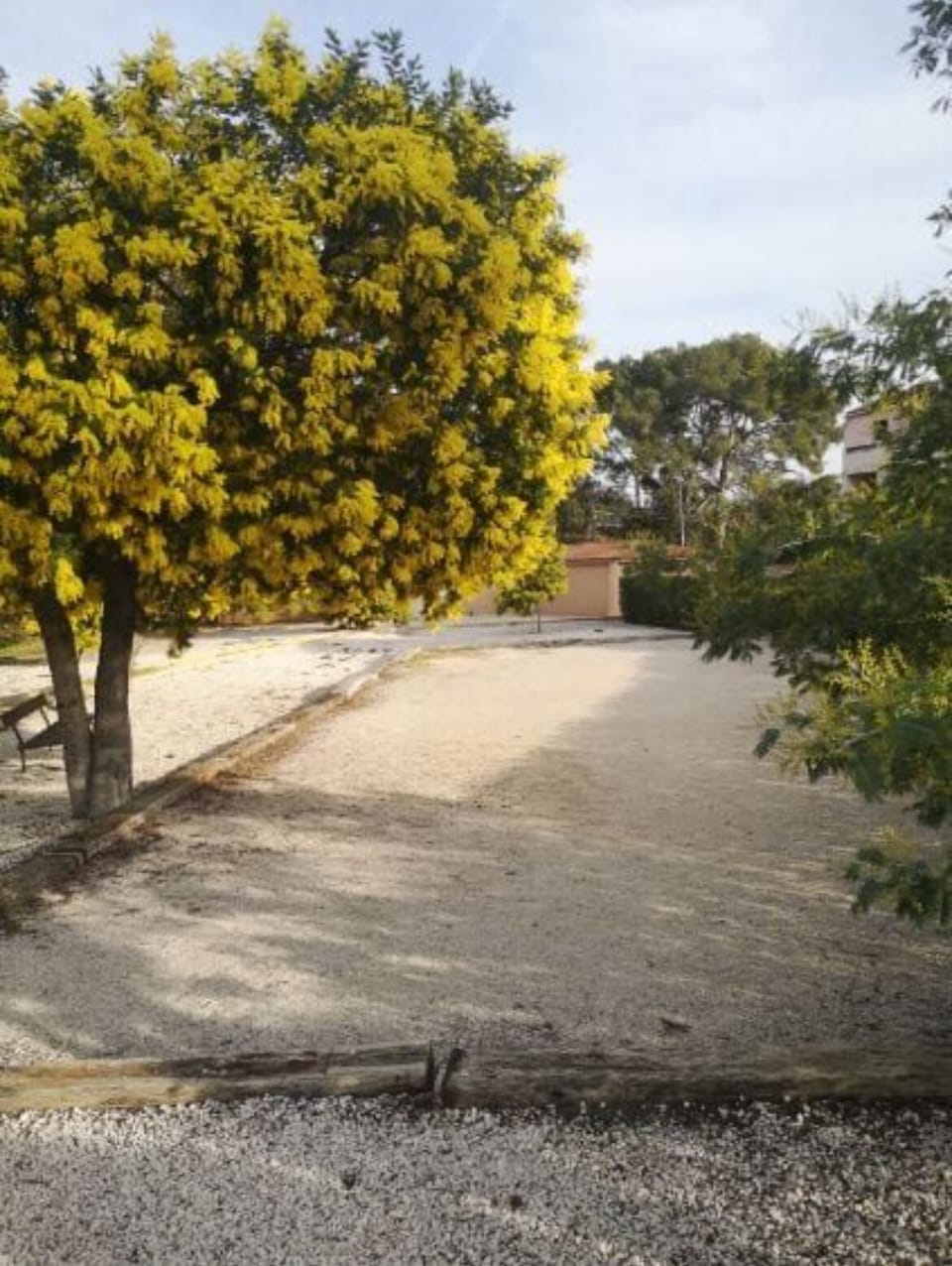 Property grounds