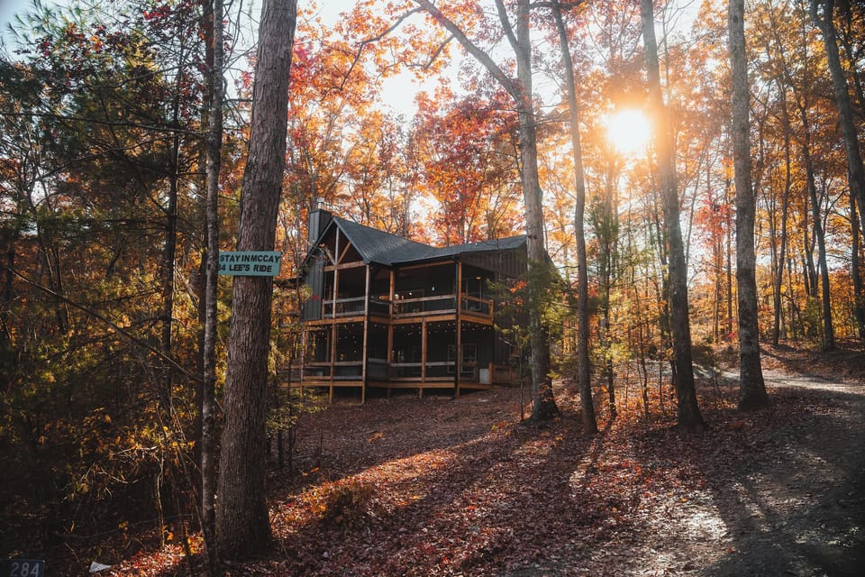 Step into your forest escape—cozy cabin w/ lights, privacy & vibrant trees.