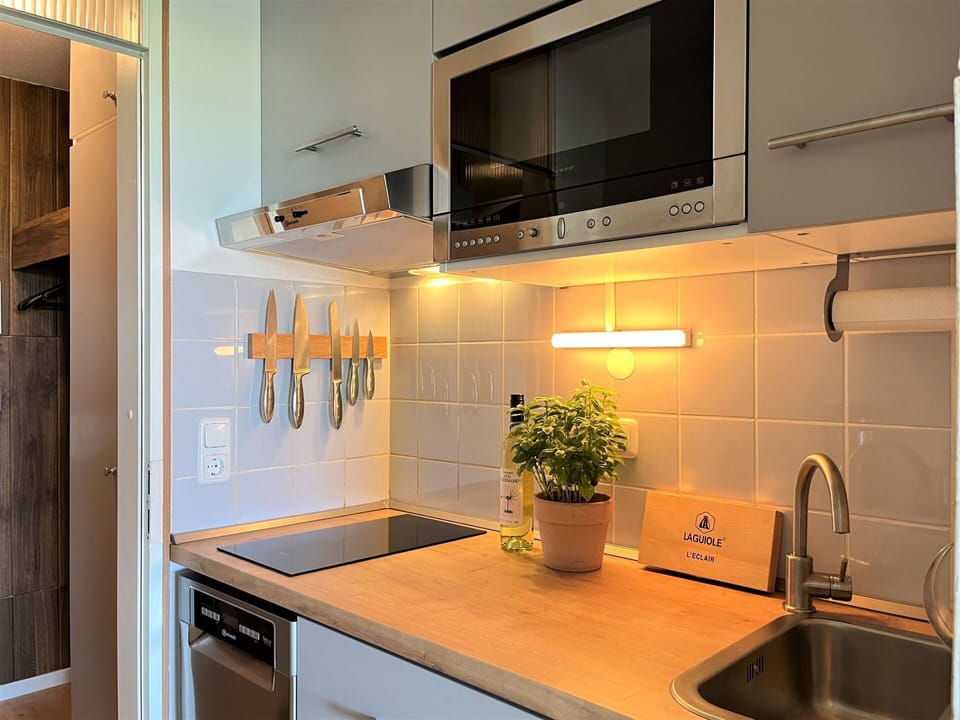 Kitchen Sink, Cabinetry, Sink, Property, Countertop, Plant, Houseplant, Tap, Kitchen Stove, Building