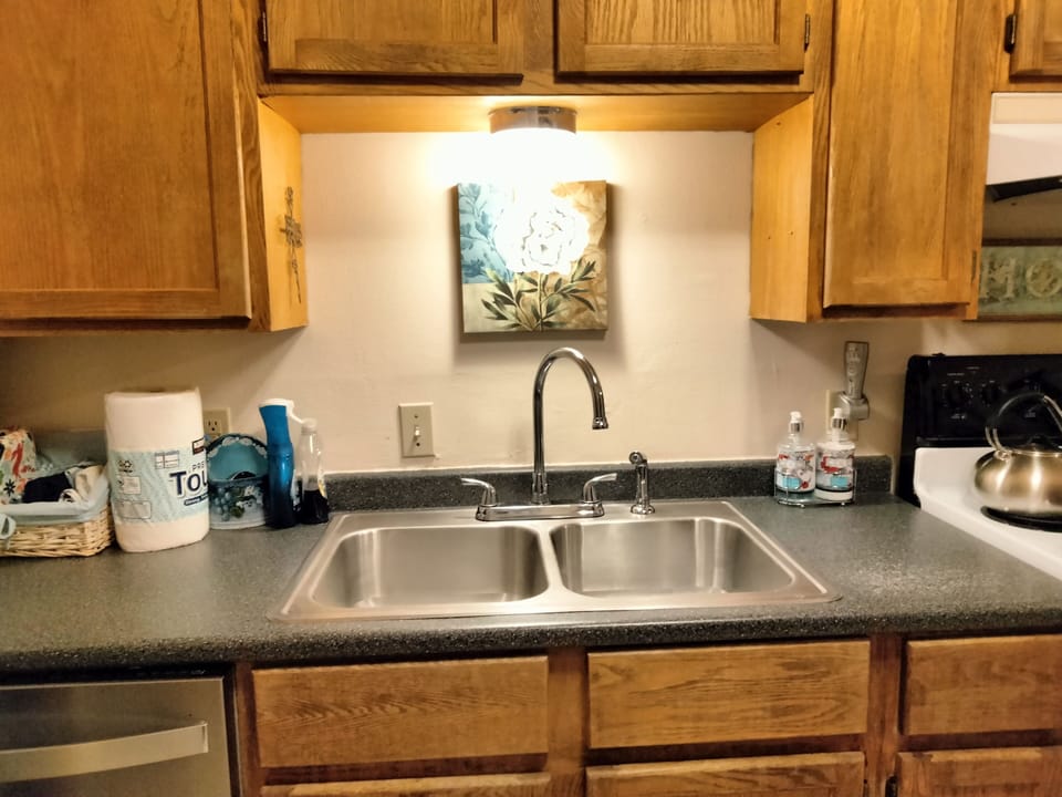 Kitchen with dishwasher and double stainless sinks