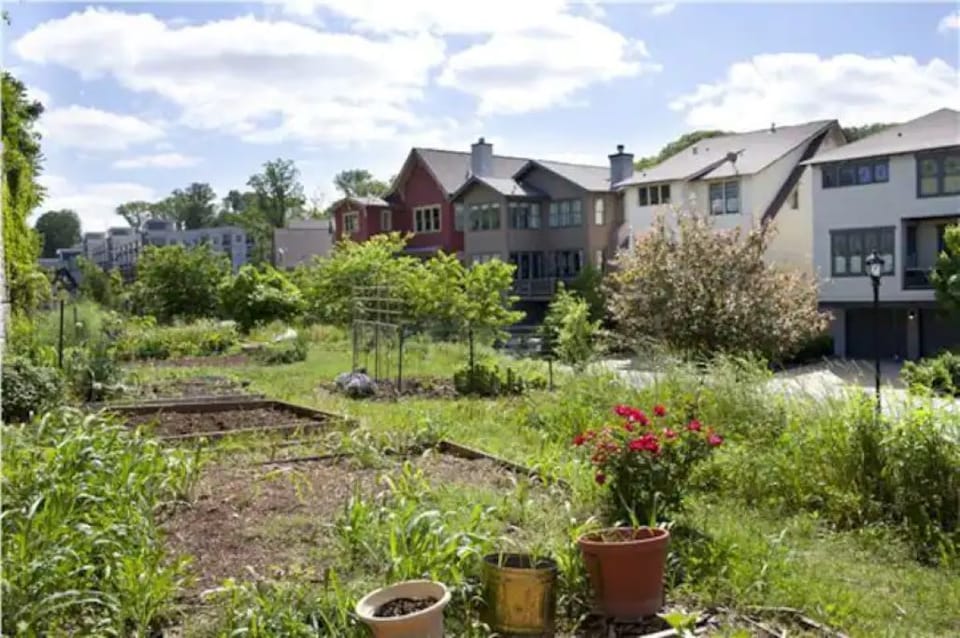 Glenwood Park Community Garden is perfect for growing anything! 