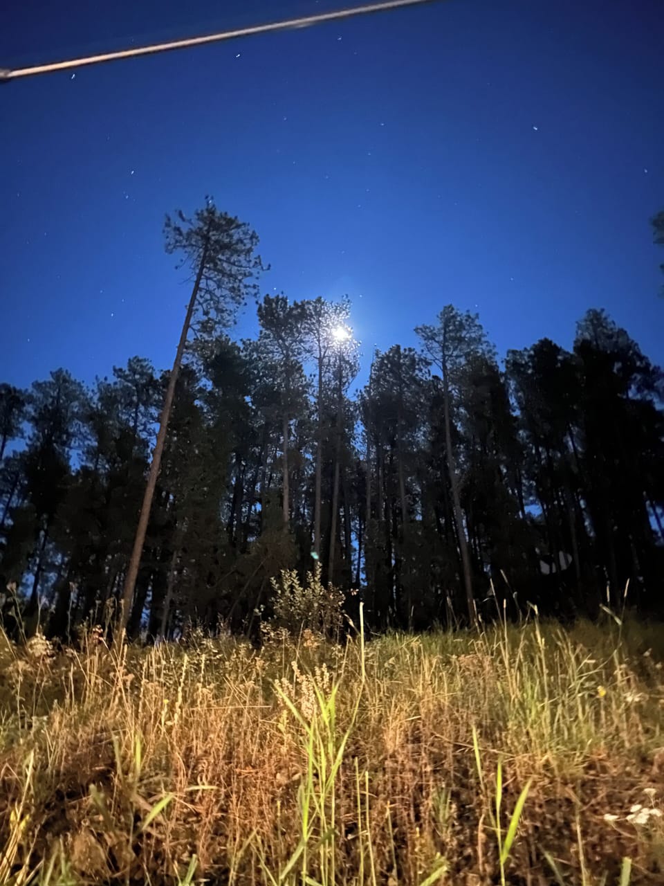 Moonrise from the deck