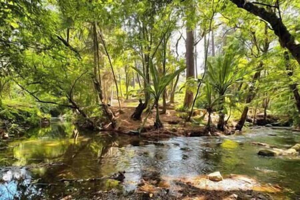 Vista de parte de la propiedad desde el otro lado del río