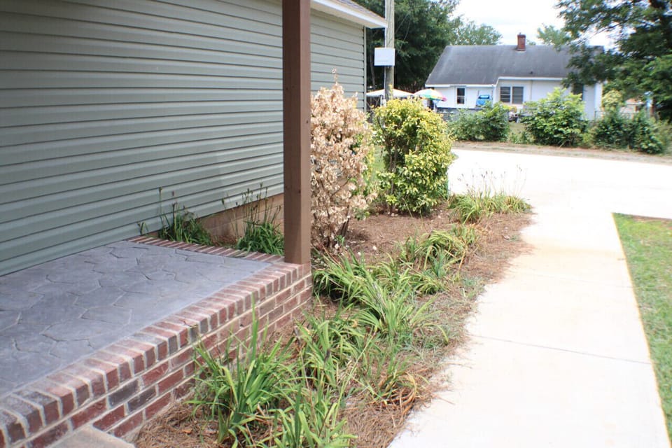 Driveway/Back Porch