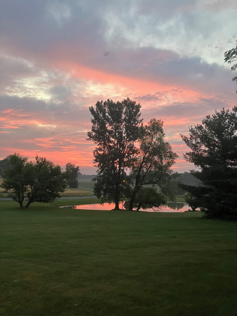 Did I Mention The View?