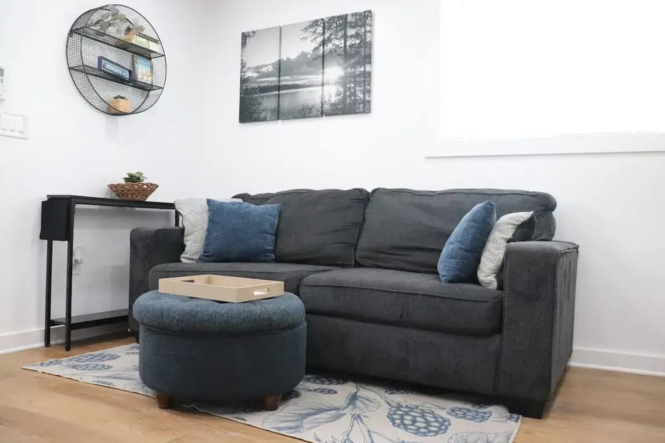 Living room couch bed