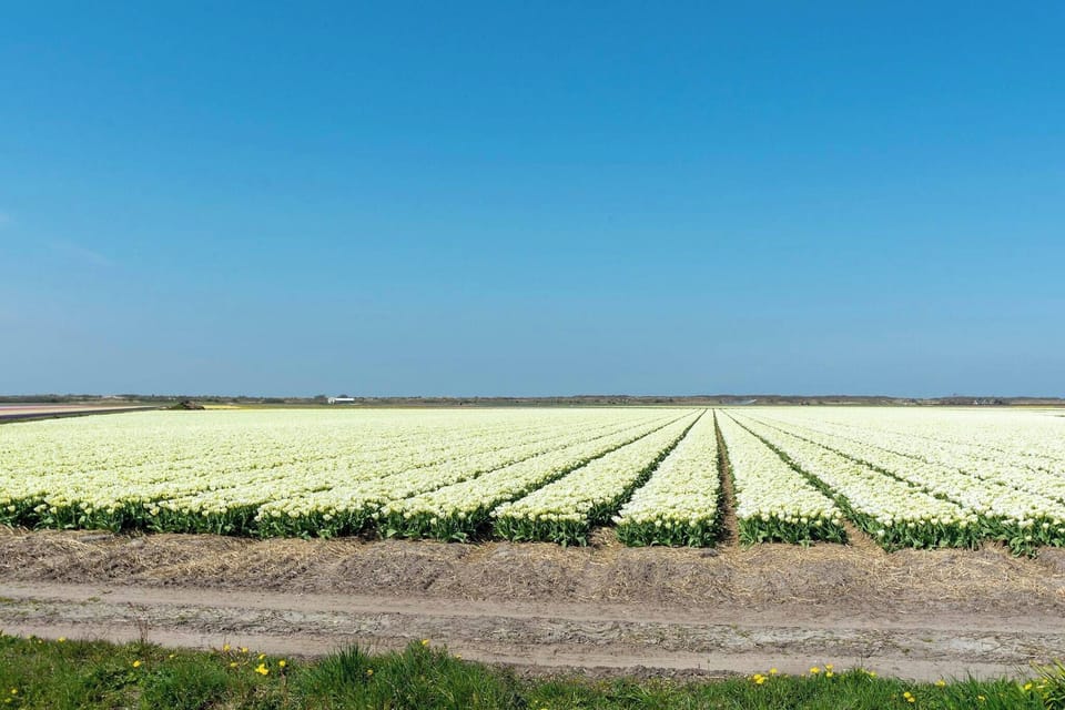 Immediate Surroundings [summer] (<1 km)