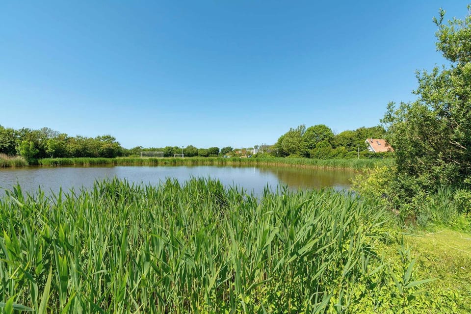 Immediate Surroundings [summer] (<1 km)