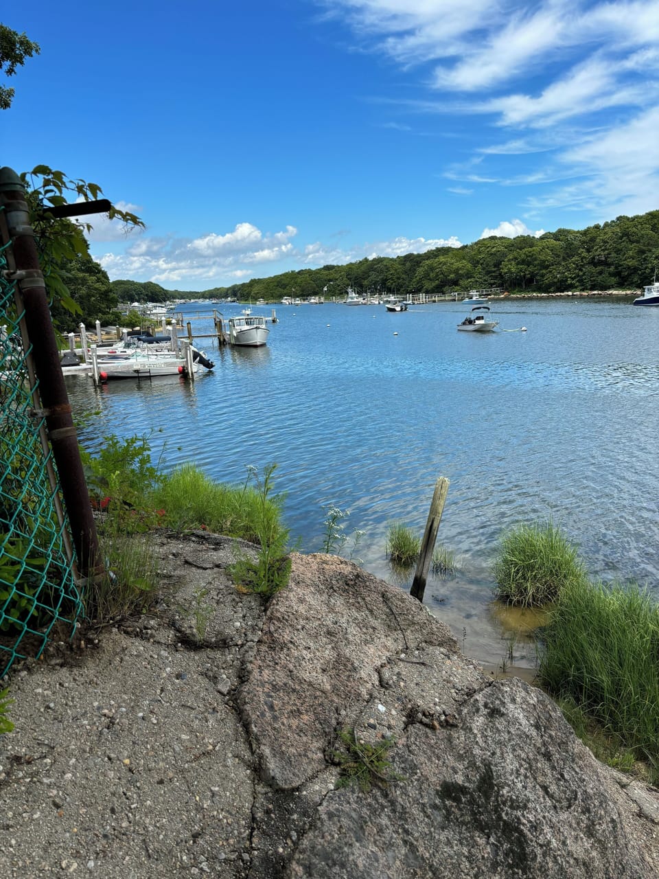 View from the waterfront.  Great area for swimming, floating, kayaking.