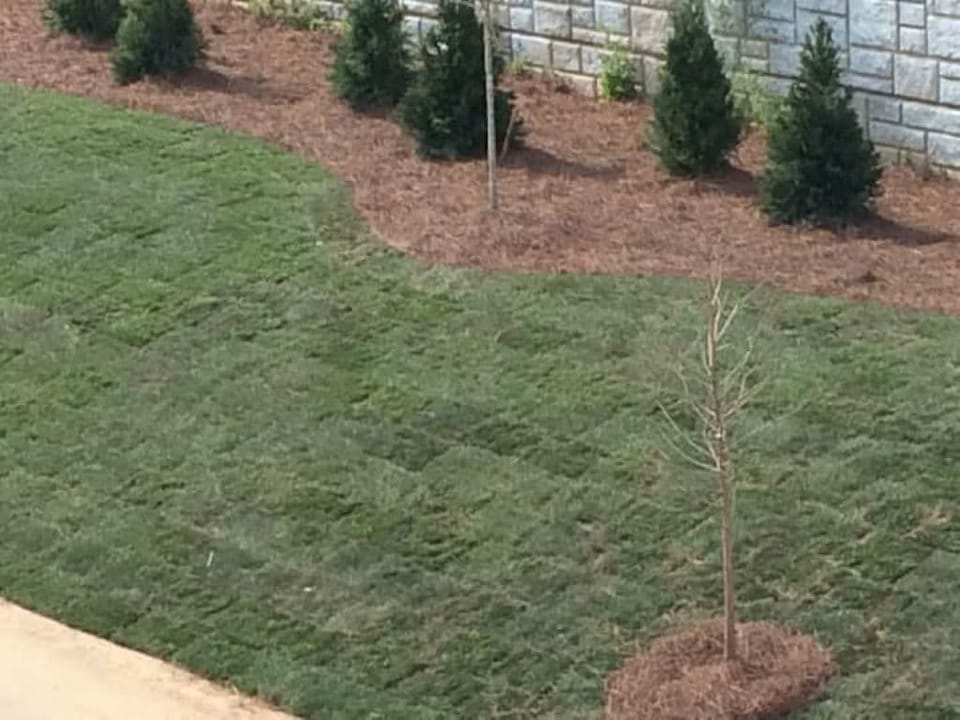 Backyard behind house!