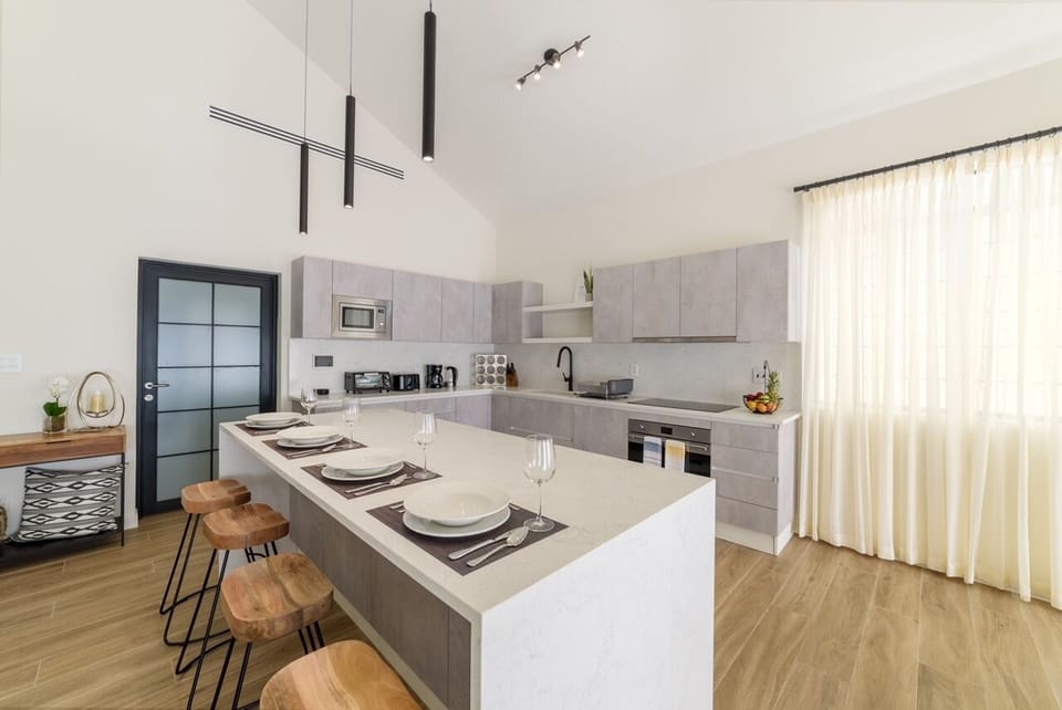 Fully equipped modern open plan kitchen with high ceilings 