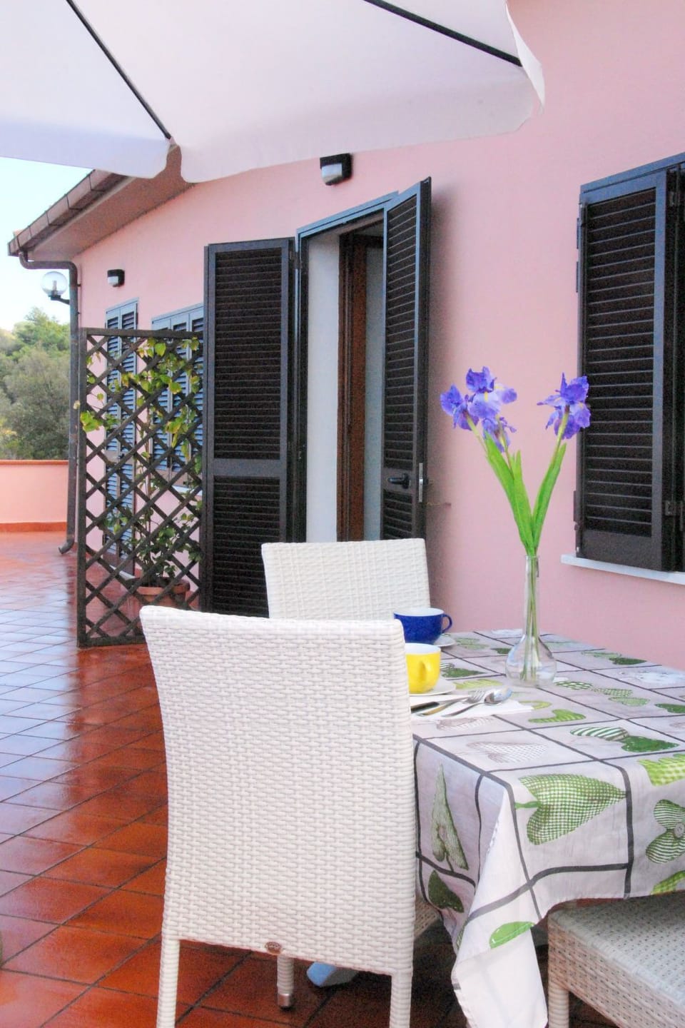 Terrace