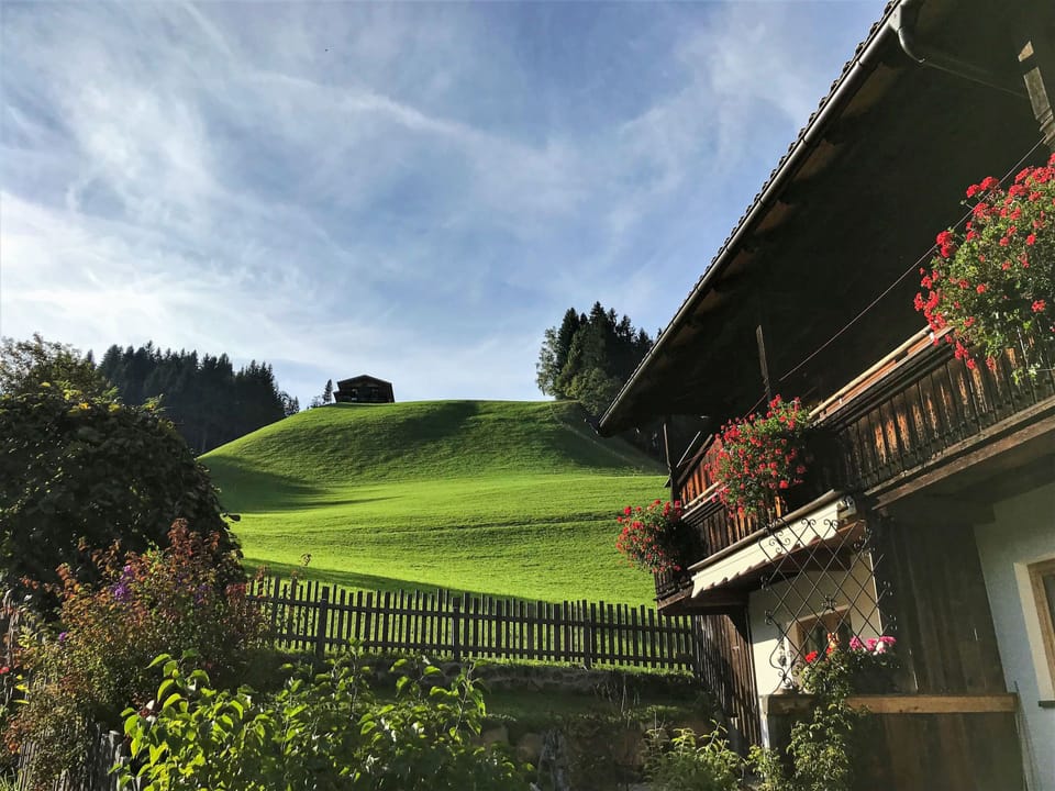 View