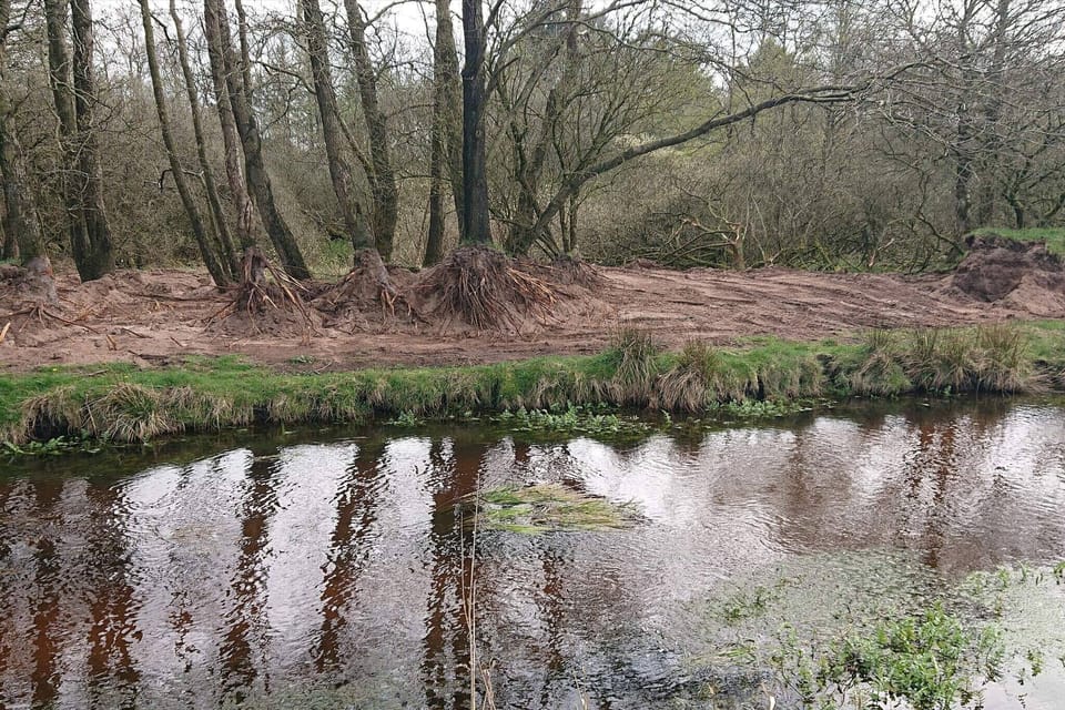 Water view
