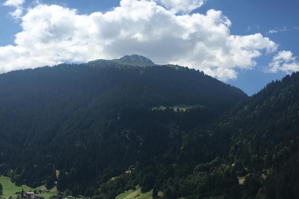 Region [summer] (>5 km)