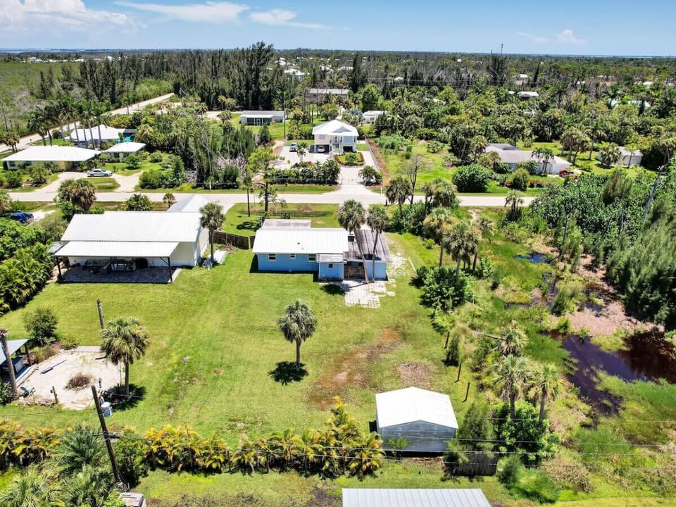 Overview of the backyard