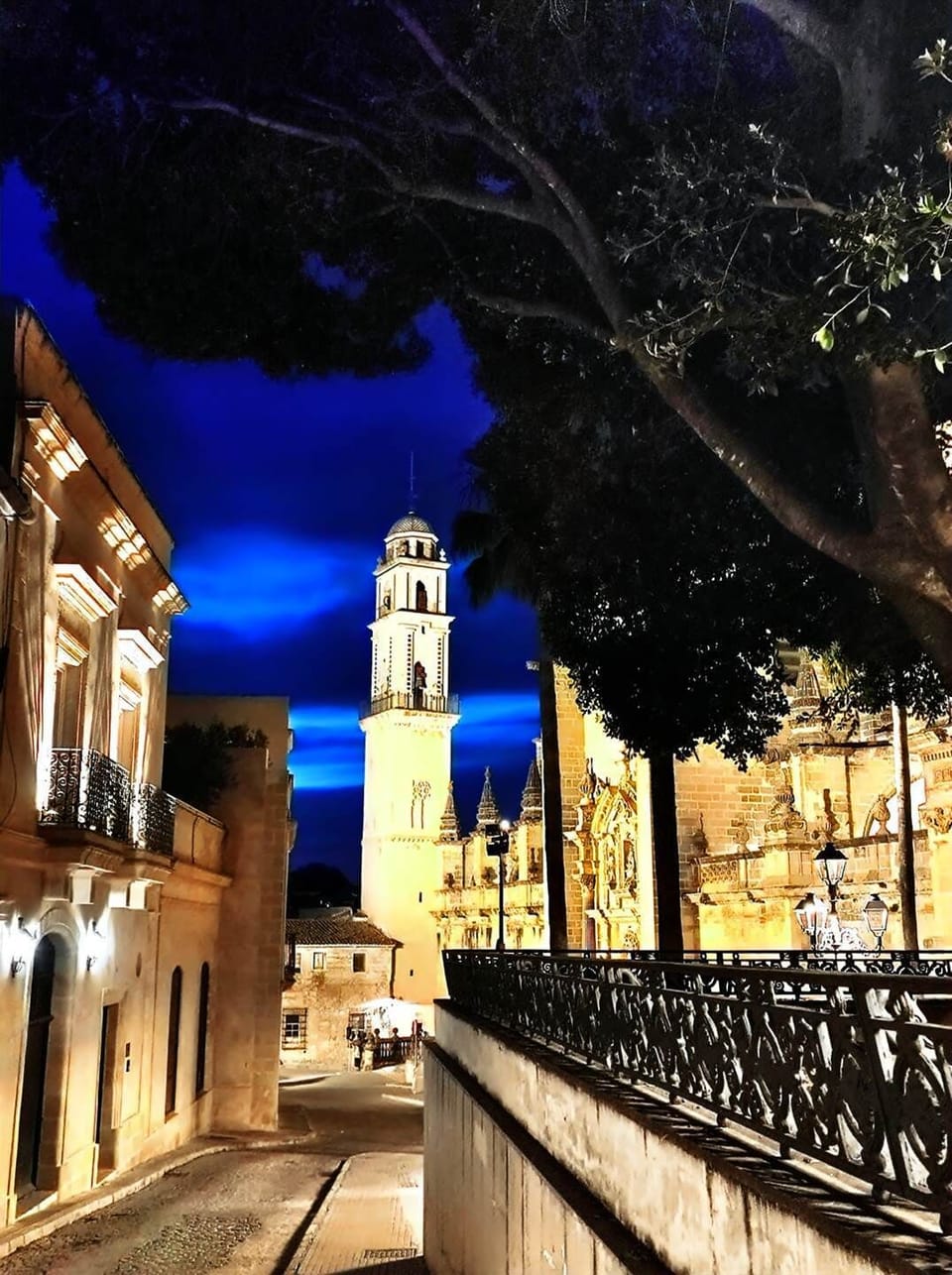 la Cathédrale