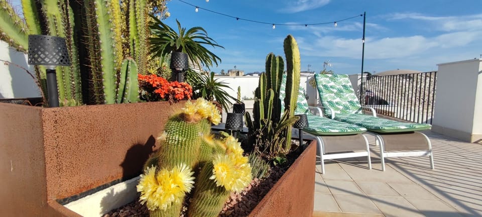le solarium sur terrasse