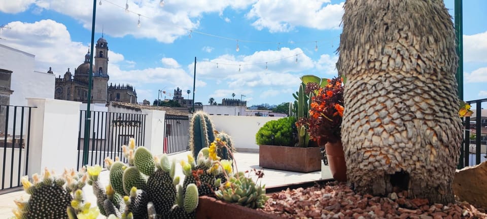 vue depuis la terrasse