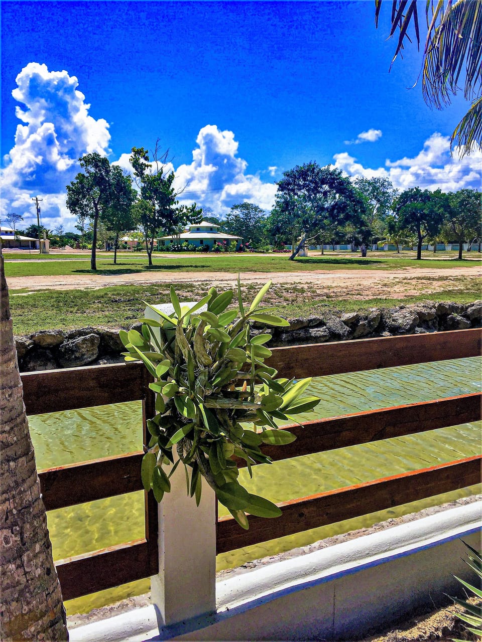 The fence beside the canal.  