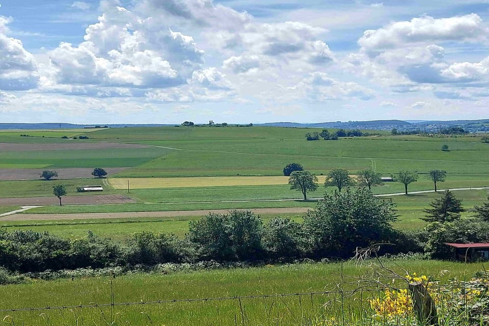 Region [summer] (>5 km)