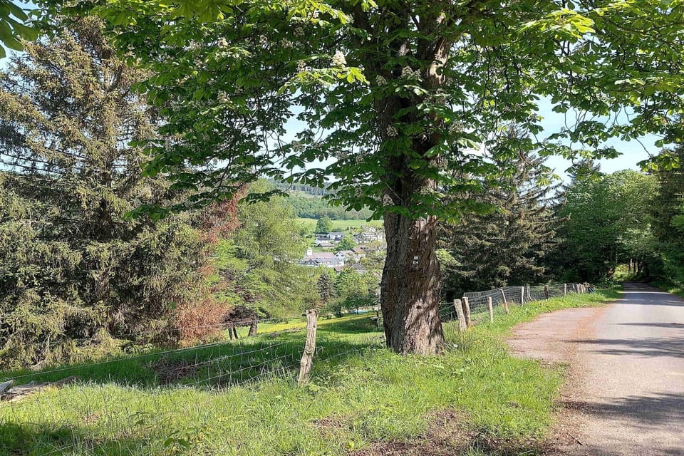 Region [summer] (>5 km)