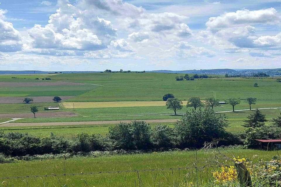 Region [summer] (>5 km)