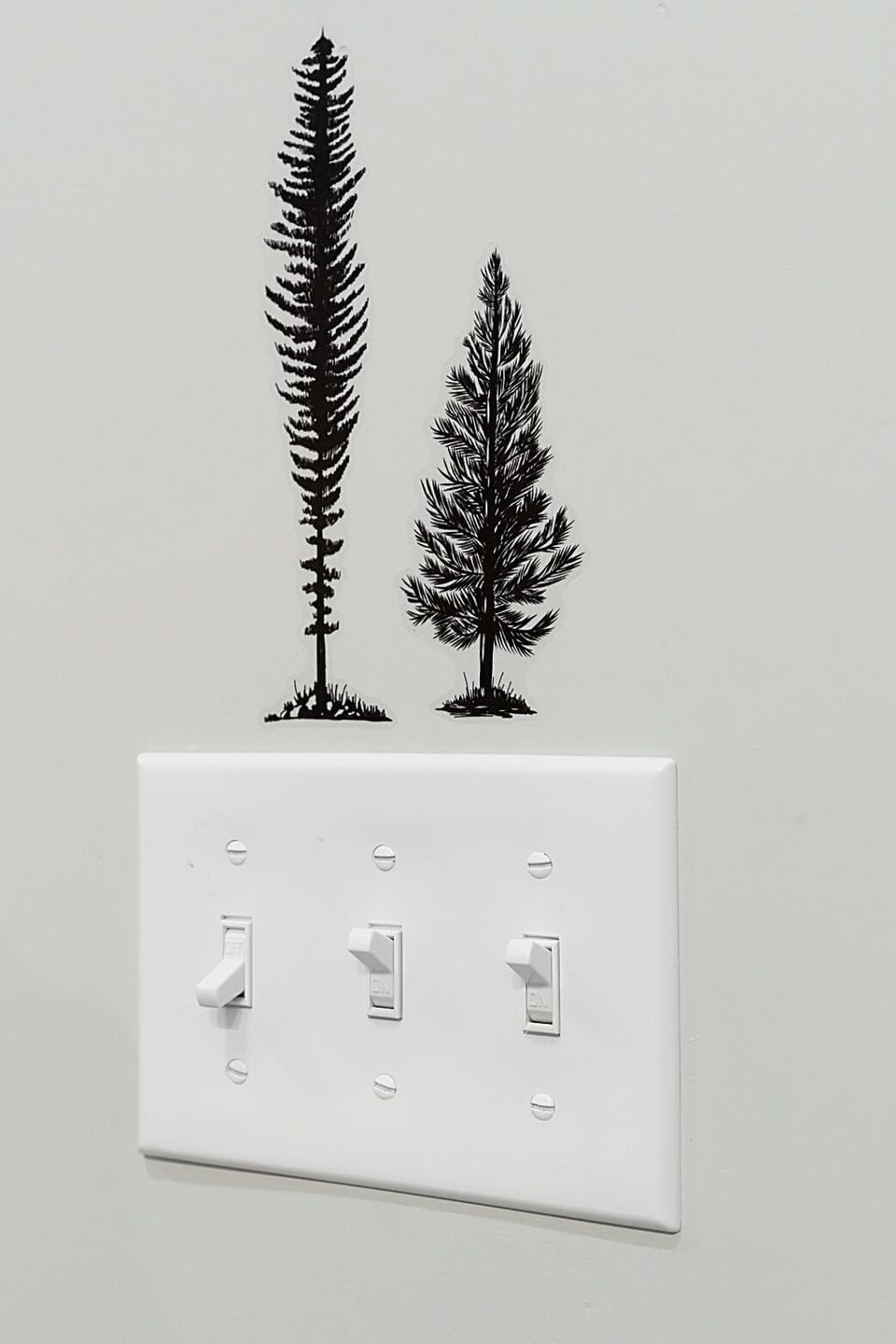 Fir, Tree