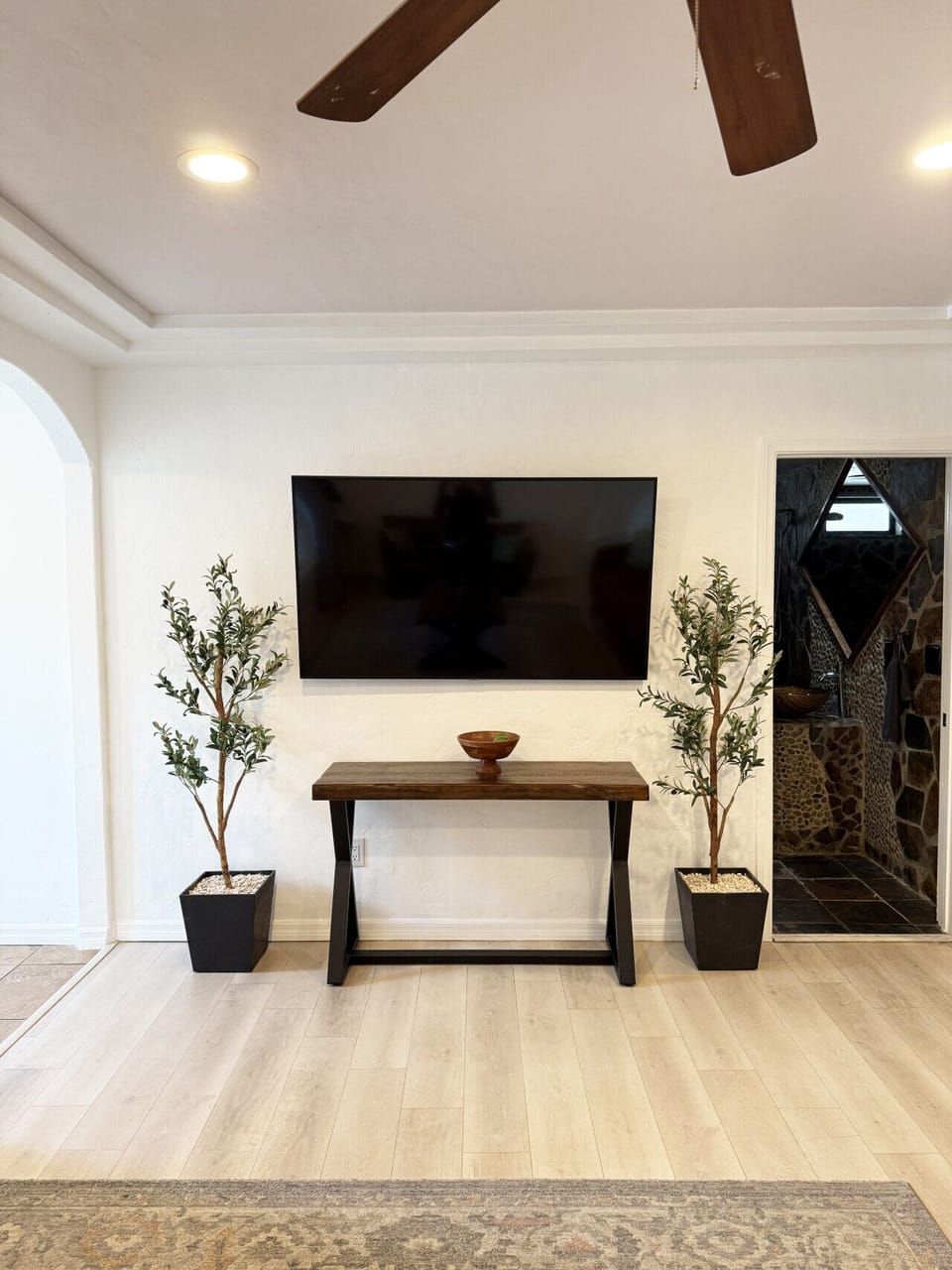 Living Room Photo 4