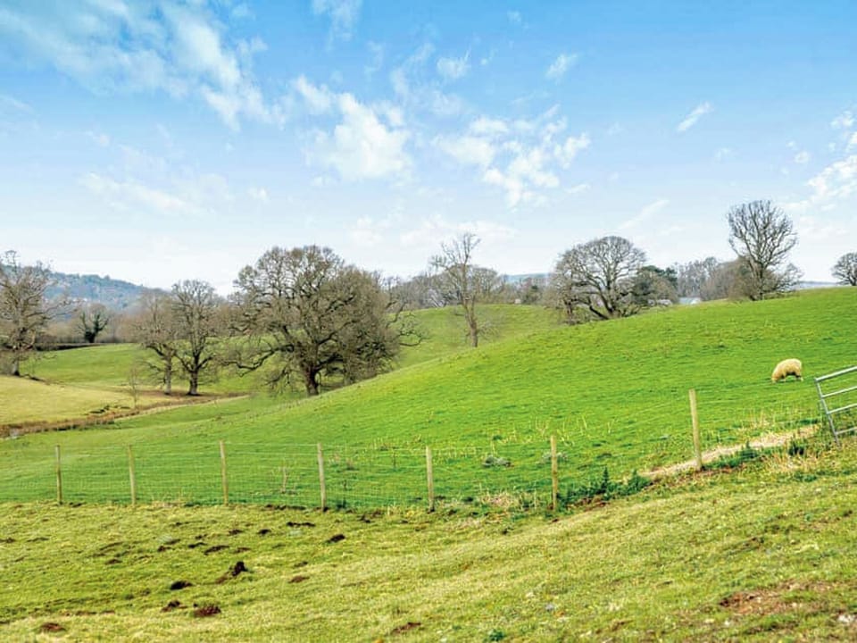 Surrounding area | Stable Cottage - Hole Farm, Alderbury, near Salisbury