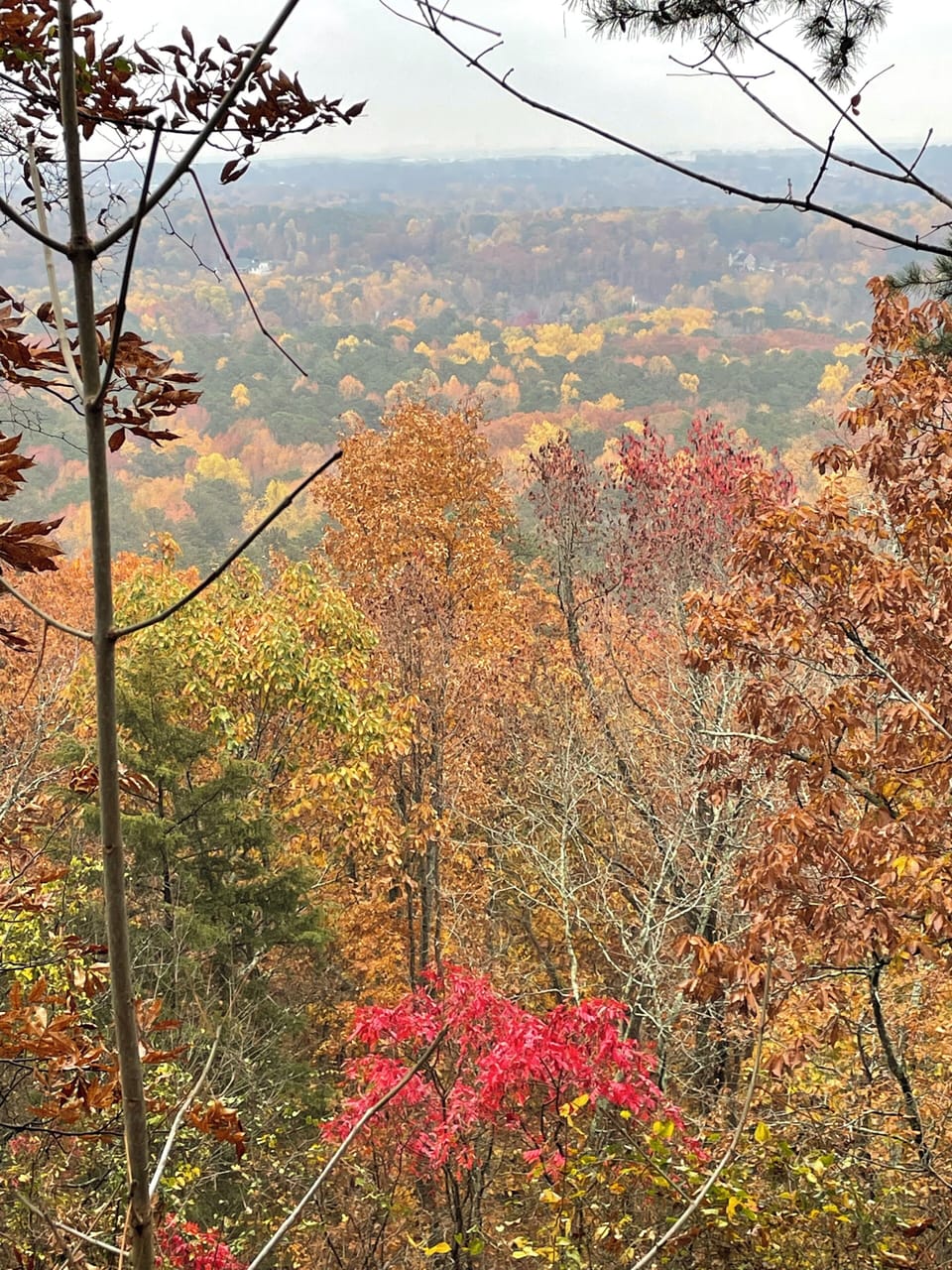 For an intense hike, enjoy the west trail: Pigeon Hill to Kennesaw Mountain.