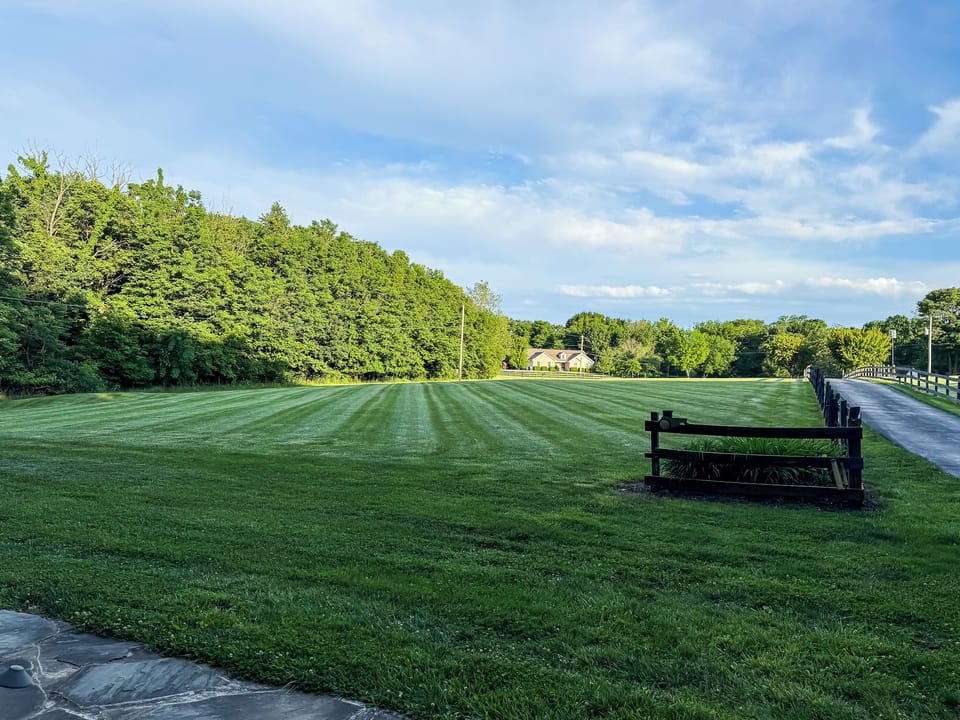 Gorgeous views with over an acre of private grassy farm-like yard for doggies to enjoy in a tranquil setting at Pointer Haus.