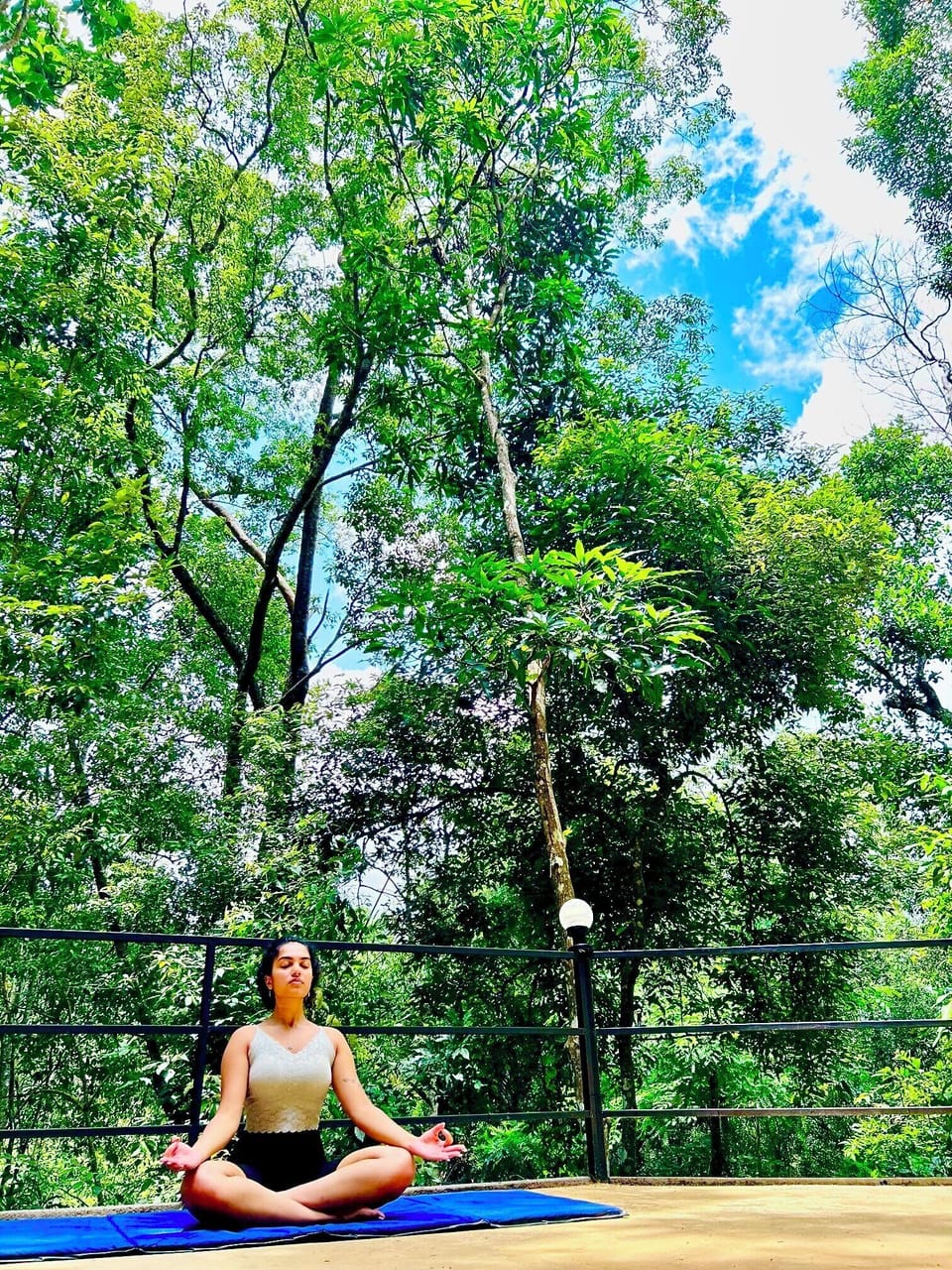 Terrace to do yoga & relax with nature 