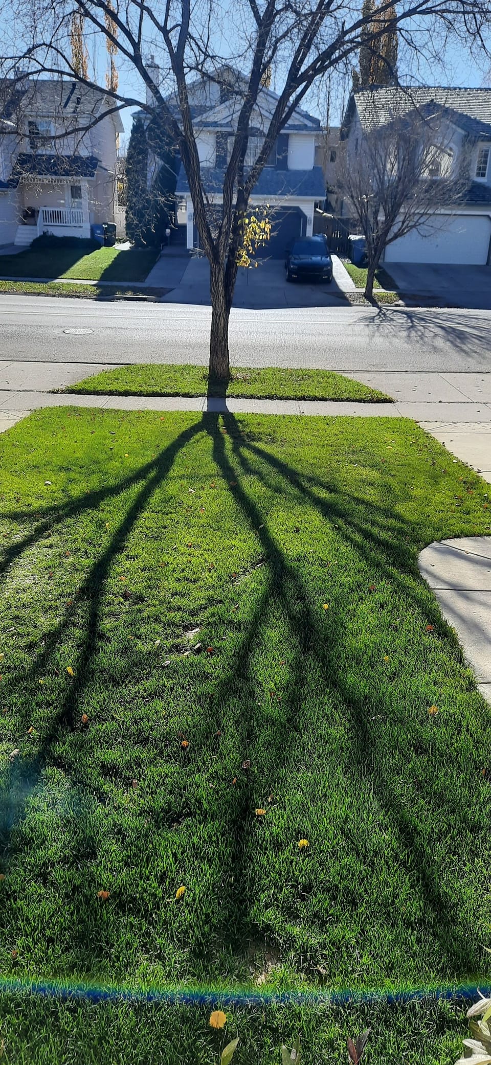 Property grounds
