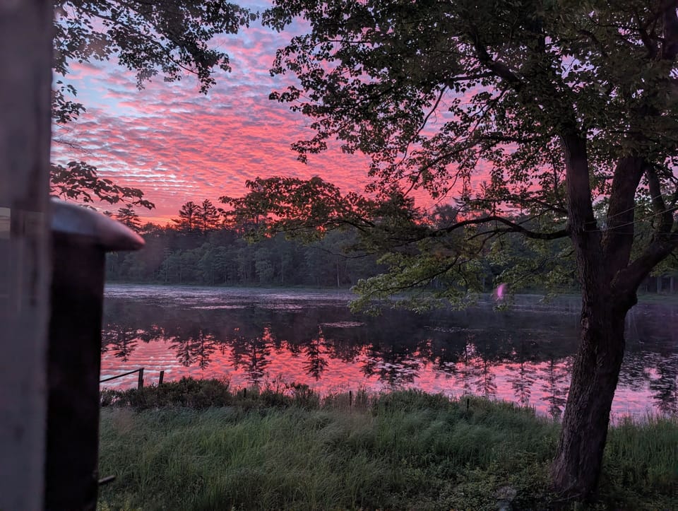 Sunrise in July