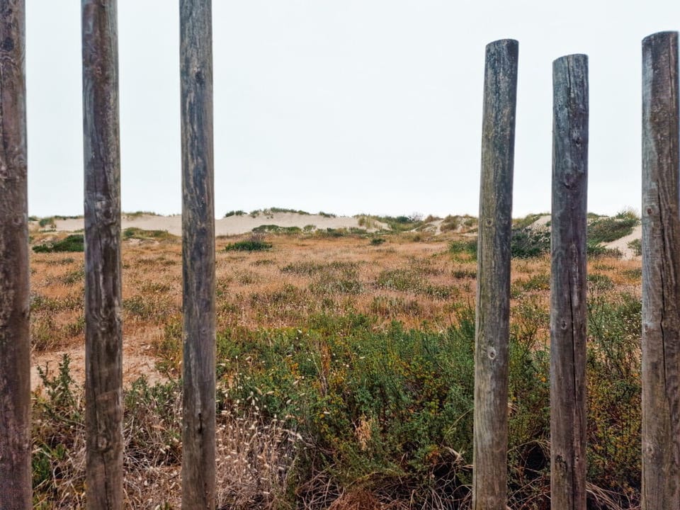 Beach Access