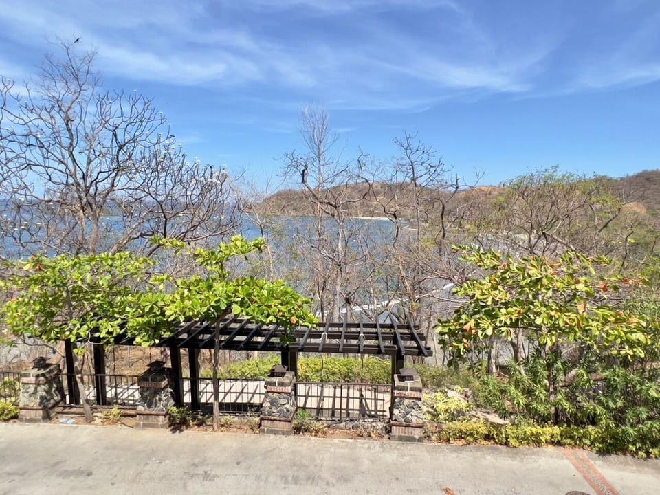 Beach view