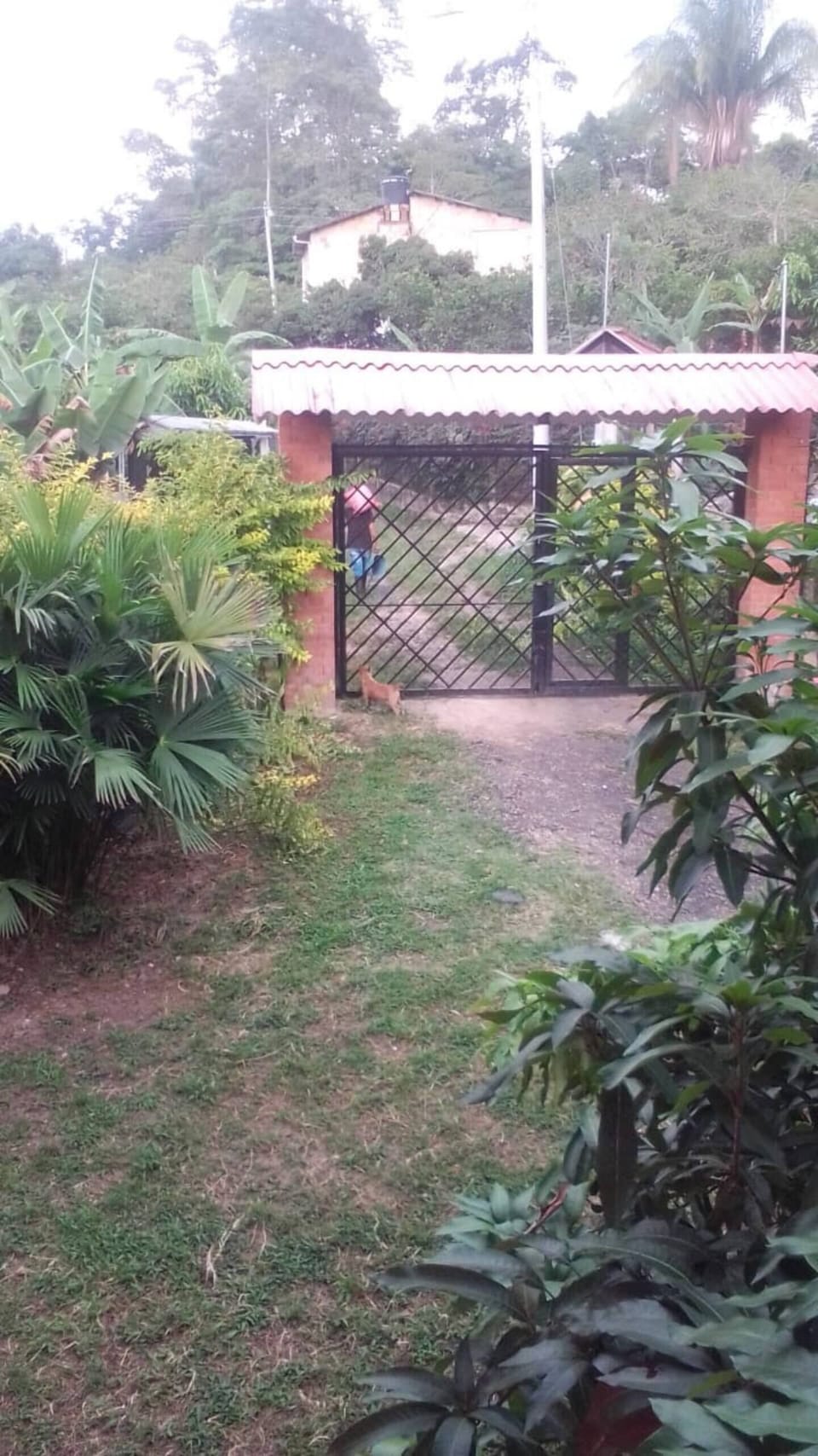 Property grounds