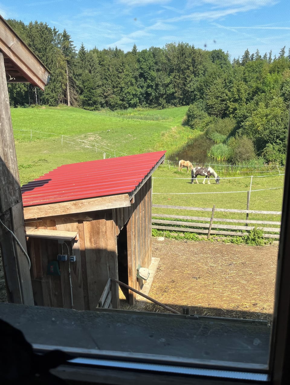 View from property