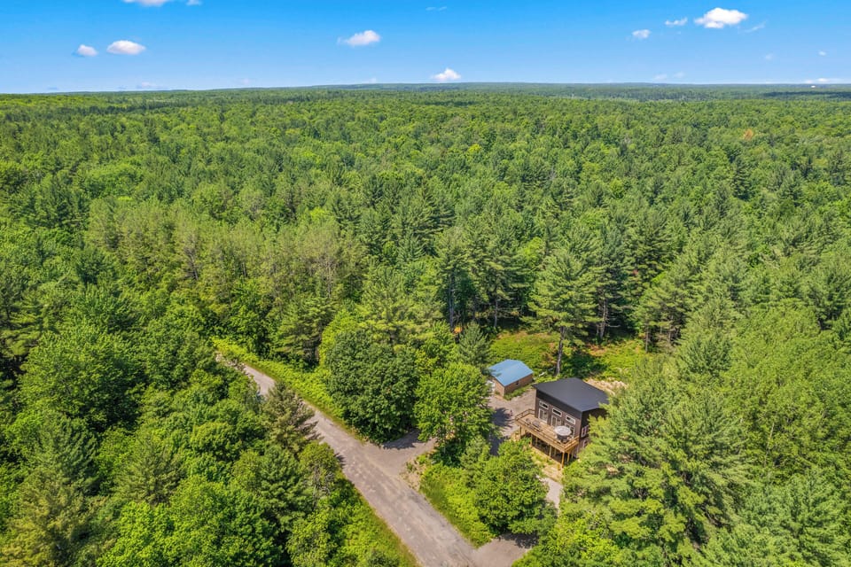 Northwood Forest View