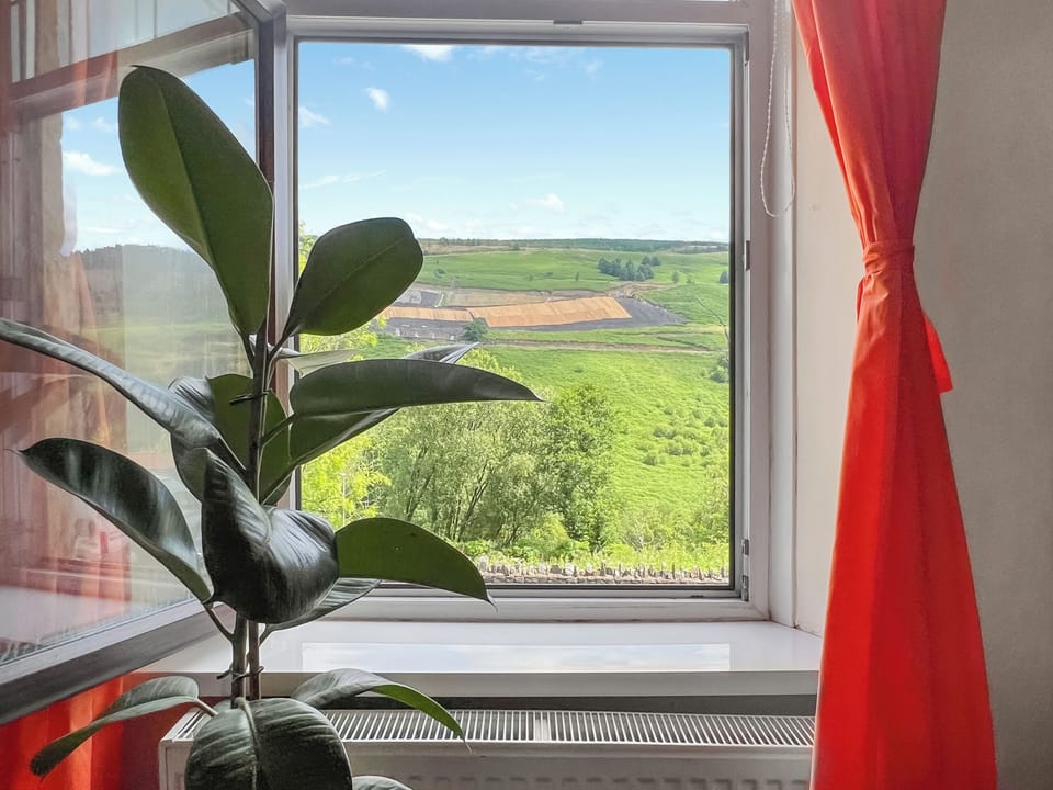 View | Mushroom Cottage, Tylorstown