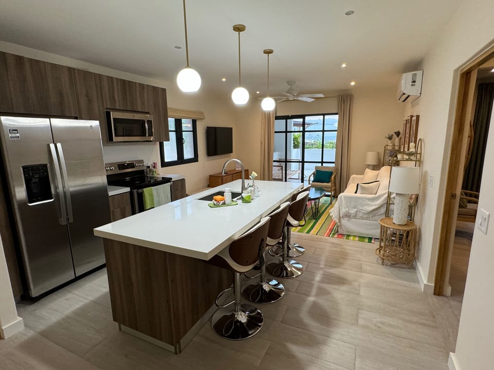 Kitchen and Living Area